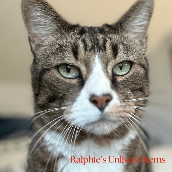 Other - Unlisted Show Item